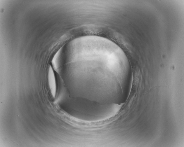 X0000087600027200705112339