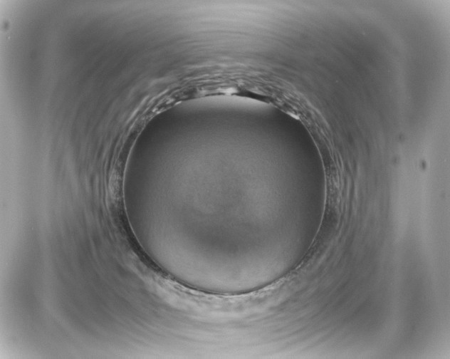 X0000087600035200705112339