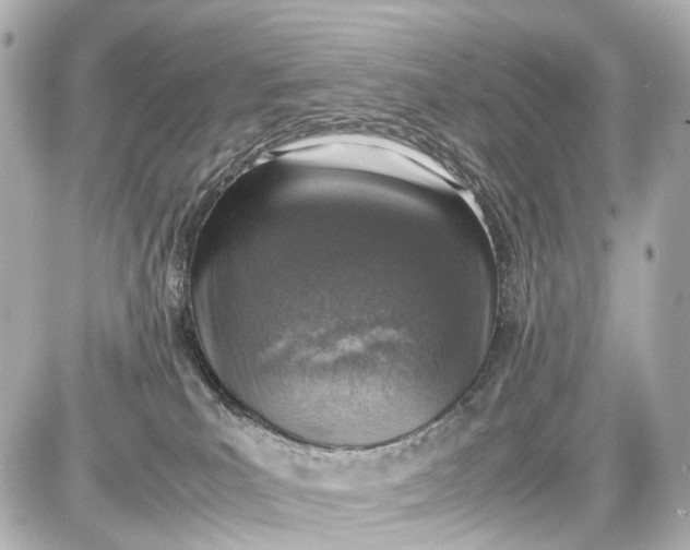 X0000087600039200705112339