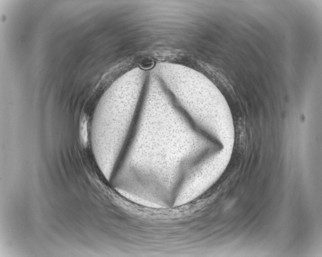 X0000087600042200705112339