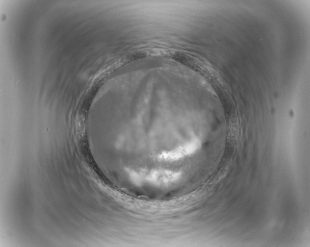 X0000087600043200705112339