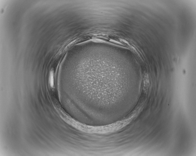 X0000087600046200705112339