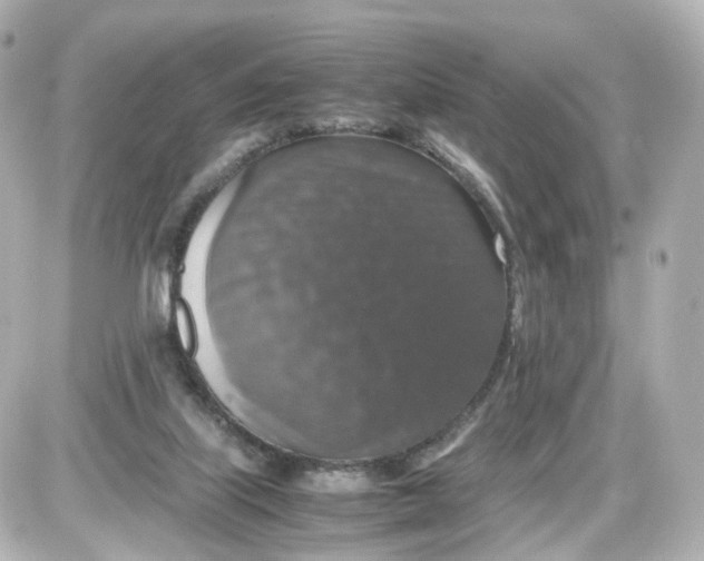 X0000087600067200705112339