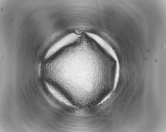 X0000087600070200705112339