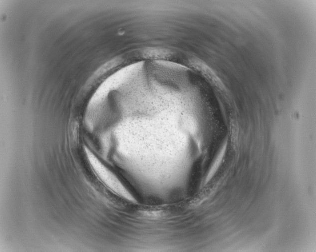 X0000087600071200705112339