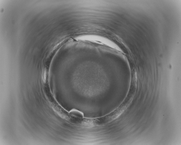 X0000087600076200705112339
