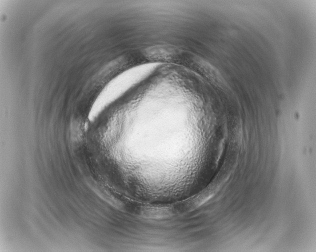 X0000087600081200705112339