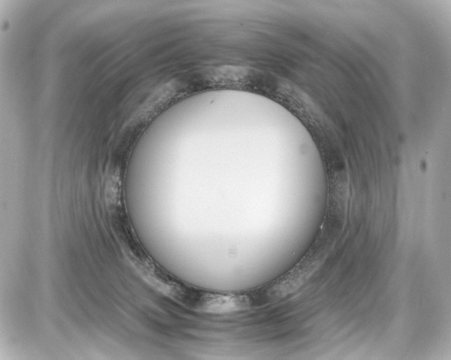 X0000087600083200705112339