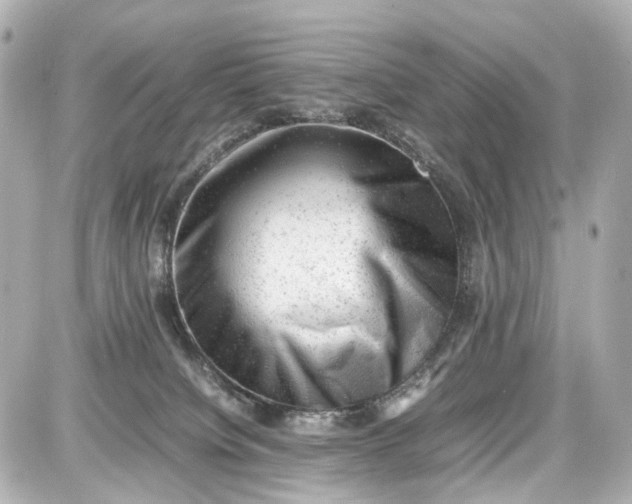 X0000087600084200705112339
