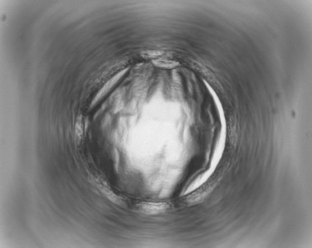X0000087600085200705112339