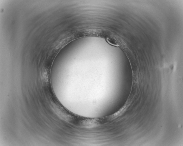X0000087600086200705112339