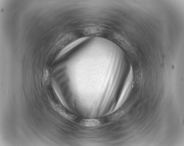 X0000087600087200705112339