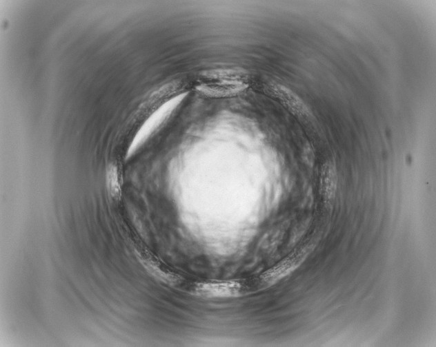 X0000087600089200705112339