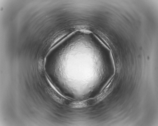 X0000087600093200705112339
