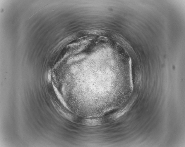 X0000087600095200705112339