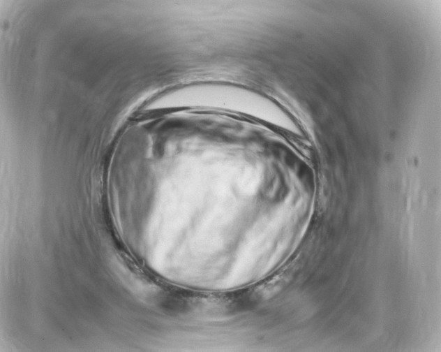 X0000087600107200705112338
