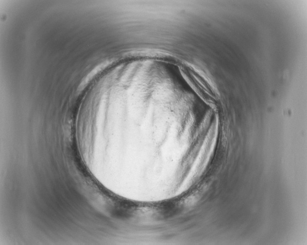 X0000087600111200705112338
