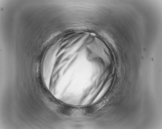X0000087600115200705112338