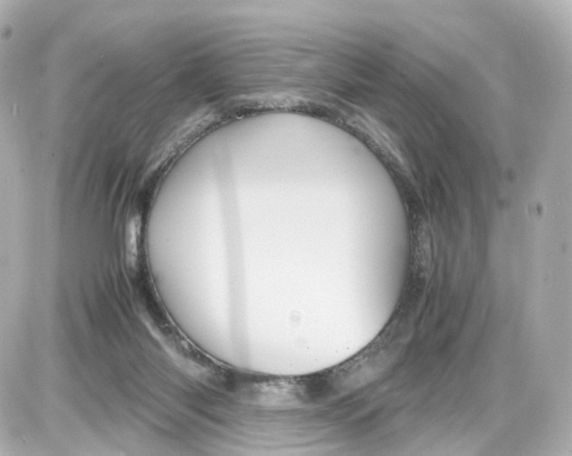 X0000087600118200705112338