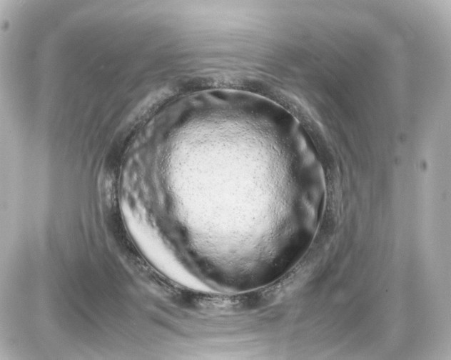 X0000087600123200705112338