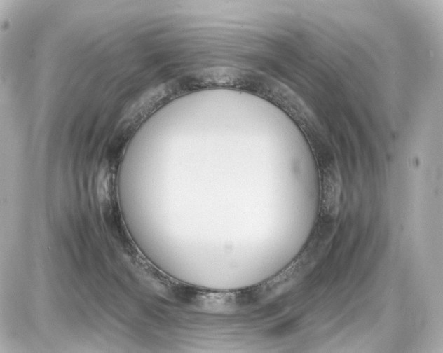 X0000087600126200705112338