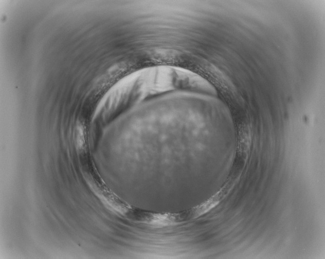 X0000087600130200705112338