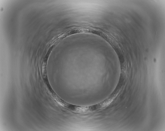 X0000087600139200705112338