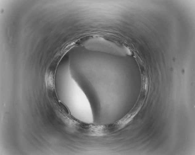 X0000087600143200705112337