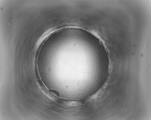 X0000087600151200705112337