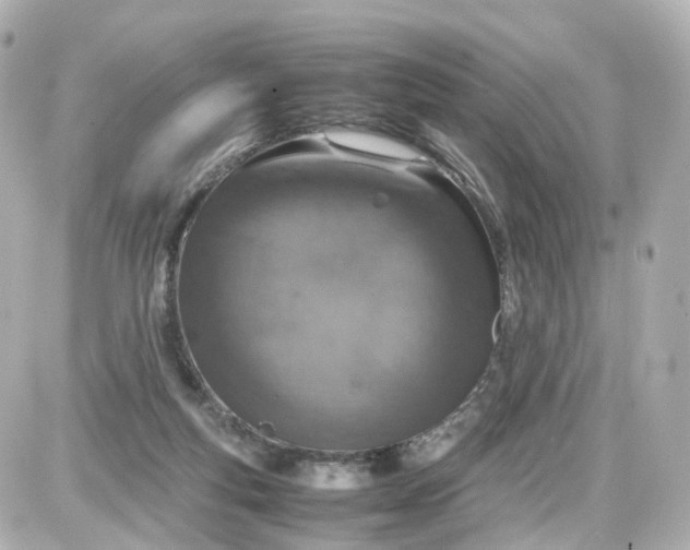 X0000087600163200705112337