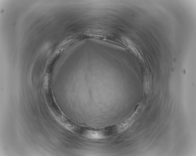X0000087600167200705112337