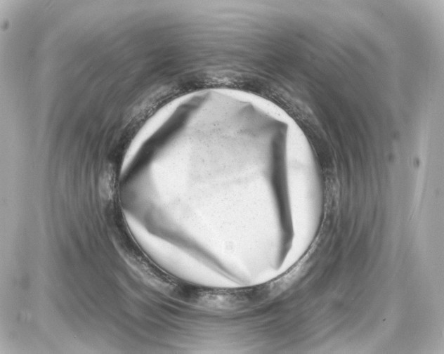 X0000087600174200705112337