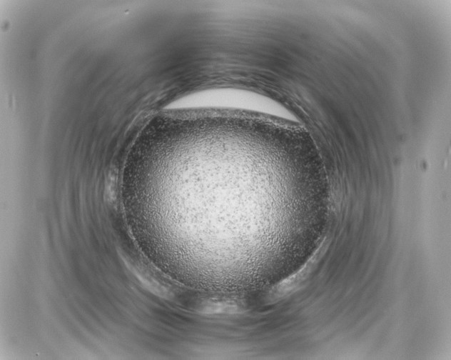 X0000087600175200705112337