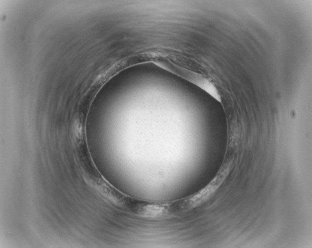 X0000087600176200705112337
