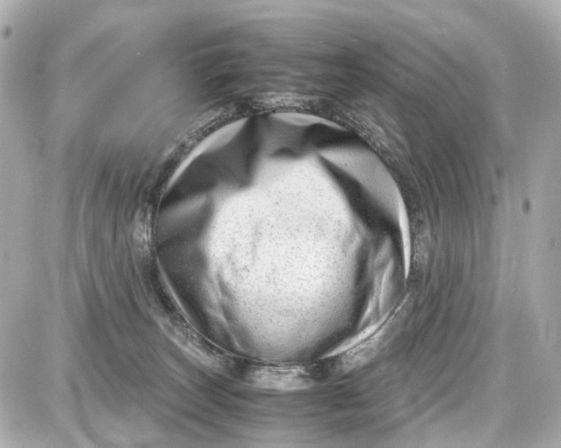 X0000087600179200705112337