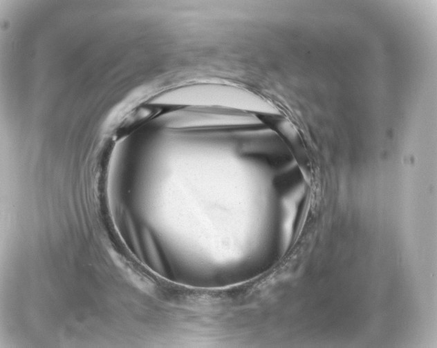 X0000087600197200705112337