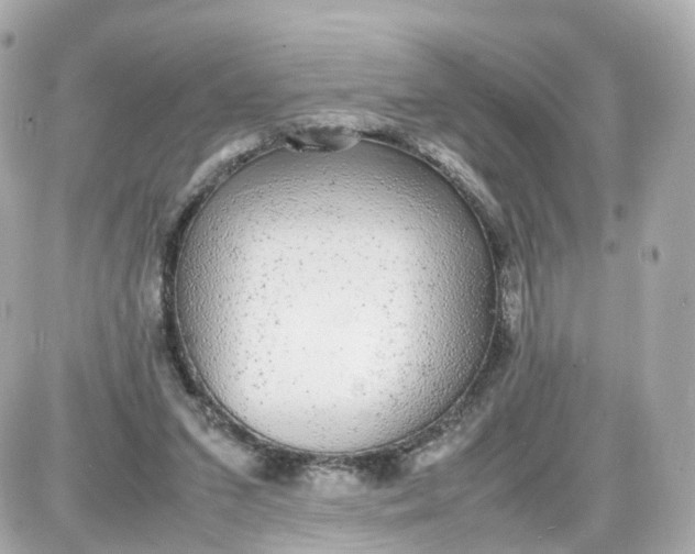 X0000087600207200705112336