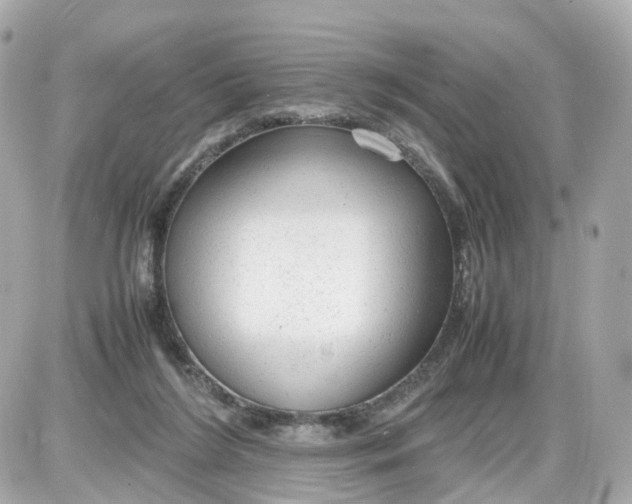 X0000087600212200705112336