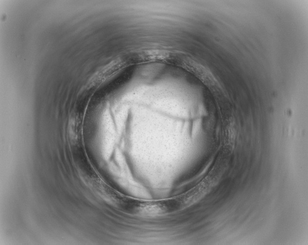 X0000087600218200705112336