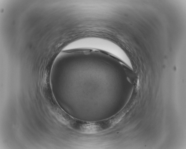 X0000087600219200705112336
