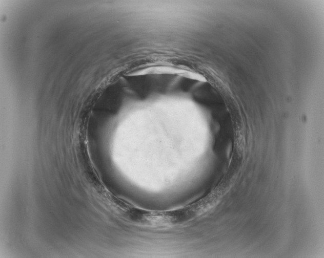 X0000087600221200705112336