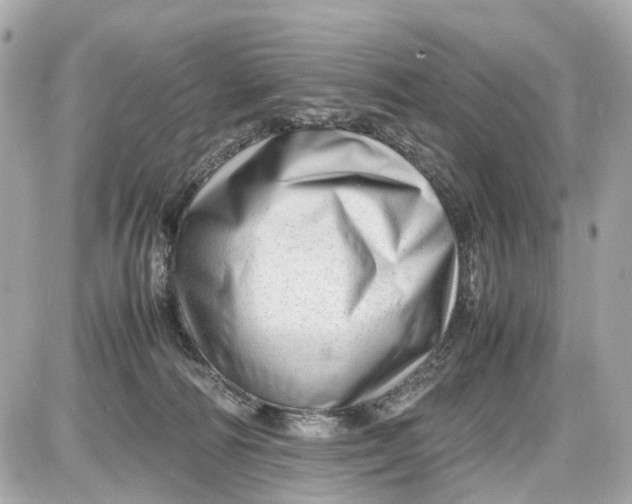 X0000087600226200705112336