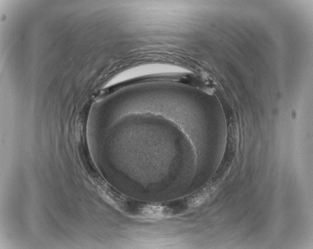 X0000087600227200705112336