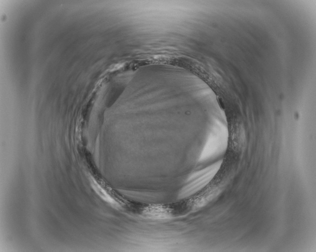 X0000087600231200705112336
