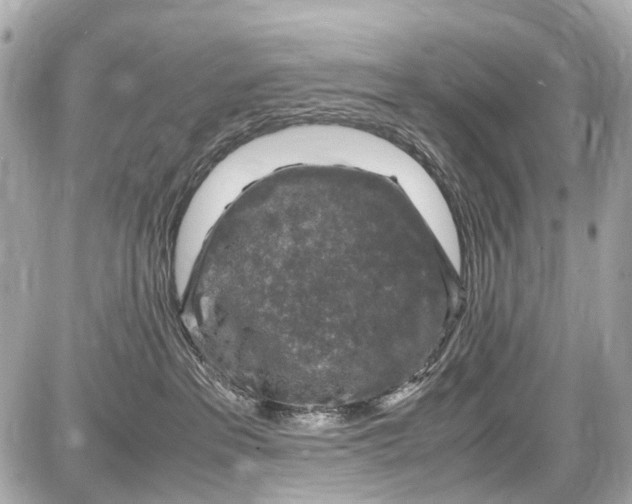 X0000087600237200705112336