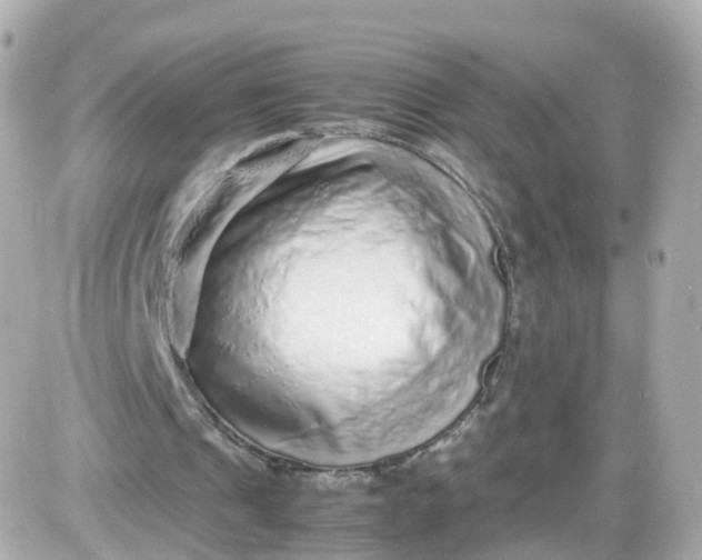 X0000087600241200705112335