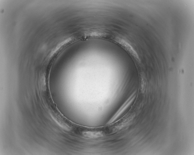 X0000087600251200705112335