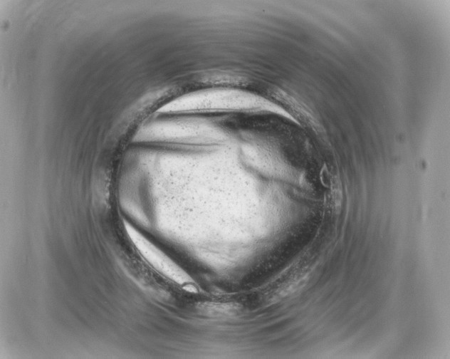 X0000087600255200705112335
