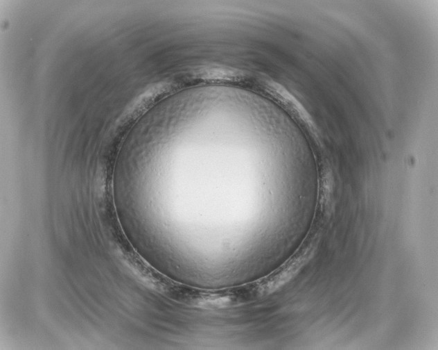 X0000087600257200705112335