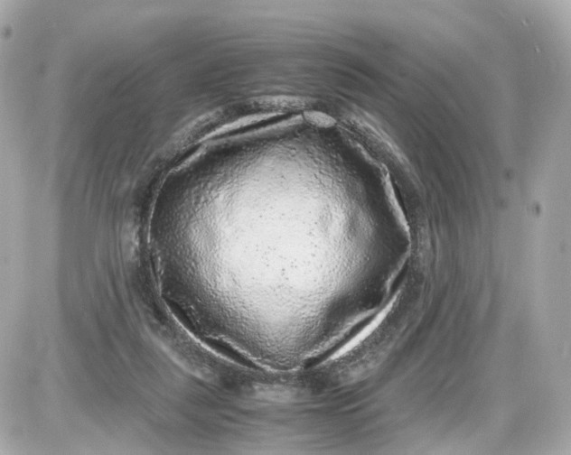 X0000087600259200705112335